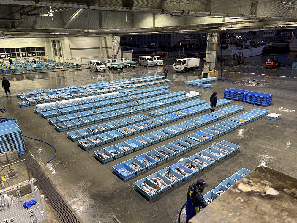 みやぎの水産加工品　産地商談会　気仙沼会場